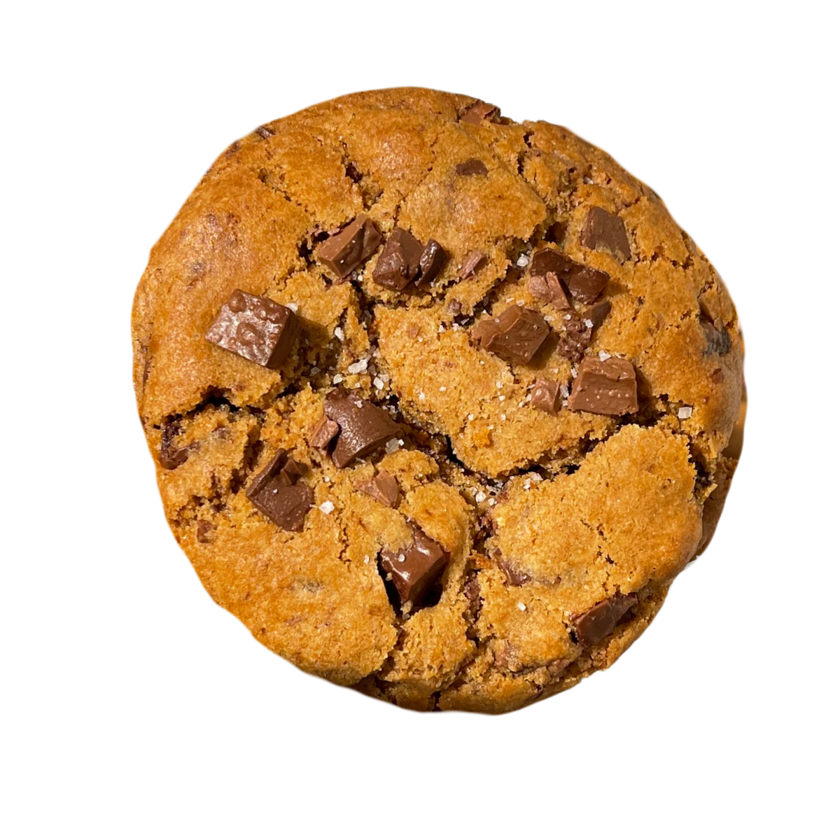 GLUTEN-FREE CHOC CHIP COOKIES (box of 6)